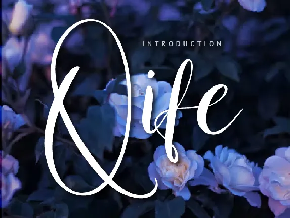 Qife font