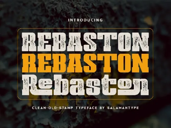 Rebaston font