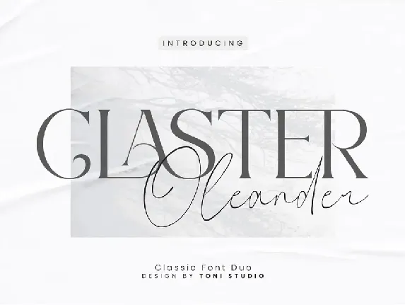 Claster Oleander font