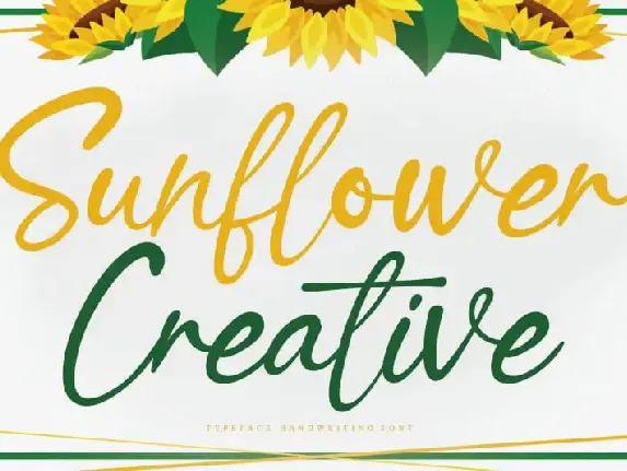 Sunflower Creative Script font