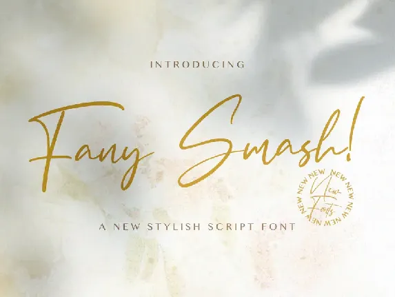 Fany Smash font