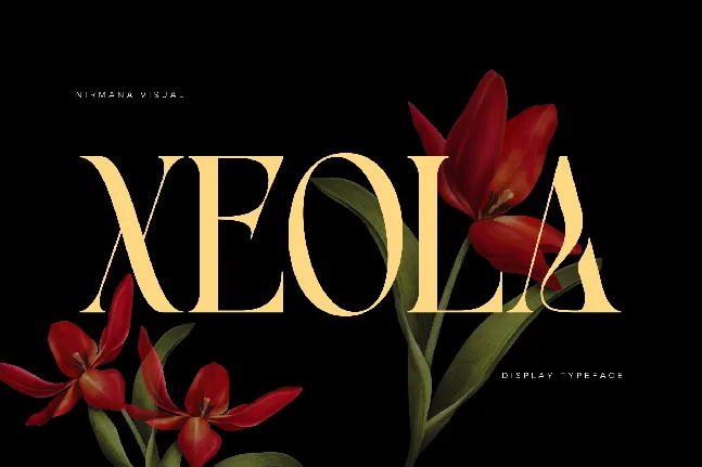 Xeola Demo Version font