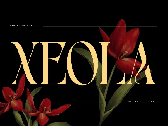 Xeola Demo Version font