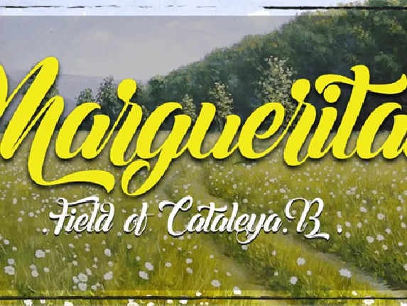 Margueritas font