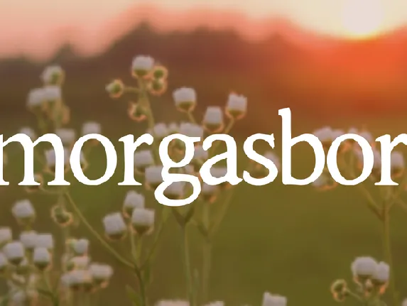 Smorgasbord font