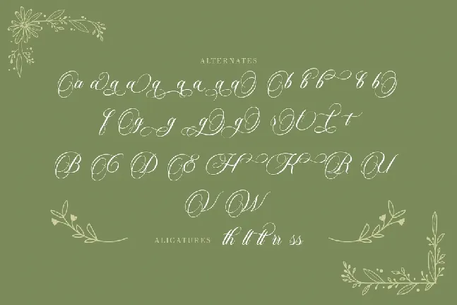 Carista Calligraphy font