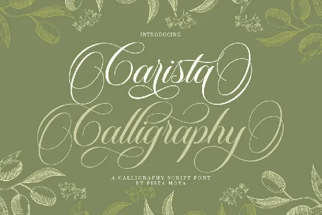 Carista Calligraphy font