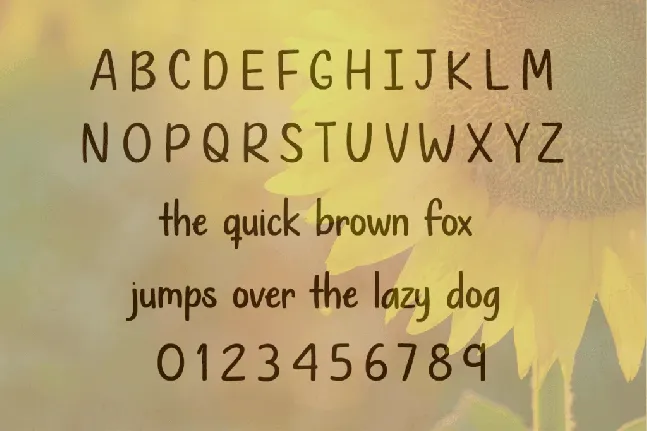 Rows of Sunflowers font