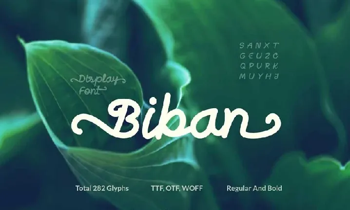 Biban Handwritten Script font