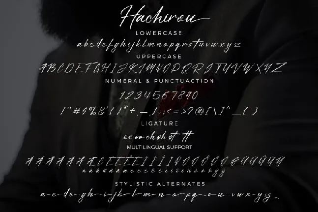 Hachirou Signature font