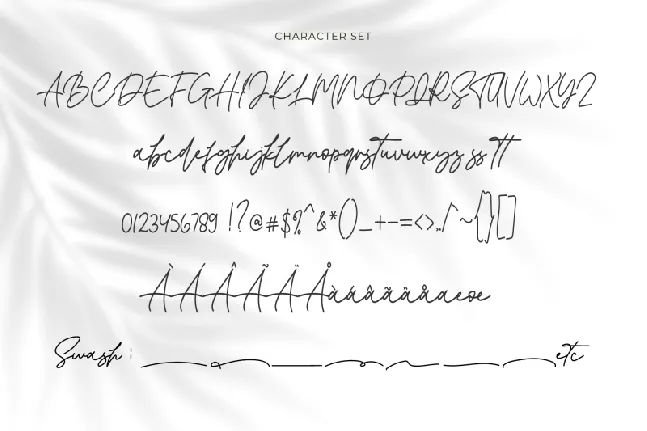 Brinton Signature font