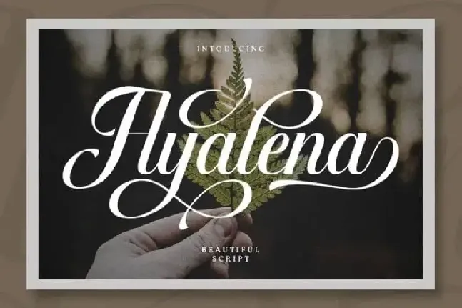 Ayalena Calligraphy font