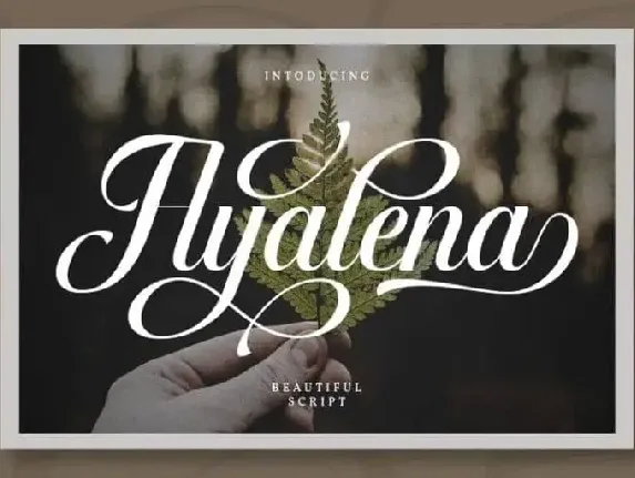 Ayalena Calligraphy font