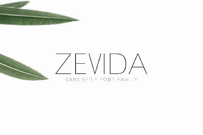 Zevida font