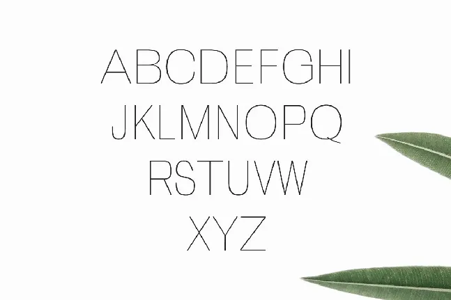 Zevida font