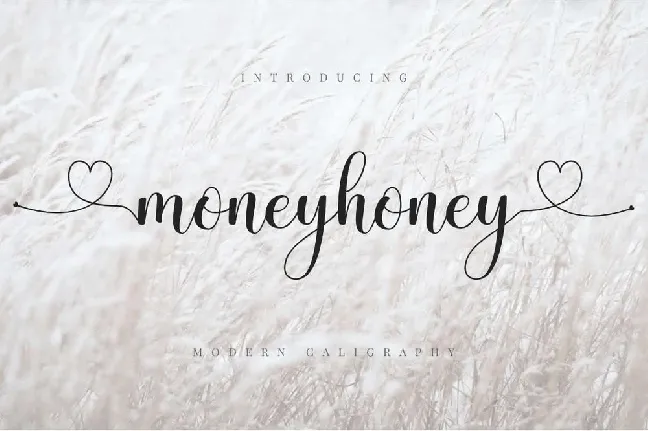 Moneyhoney font