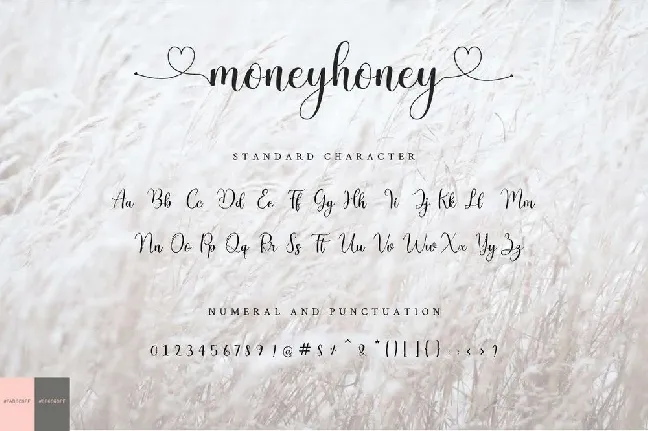 Moneyhoney font