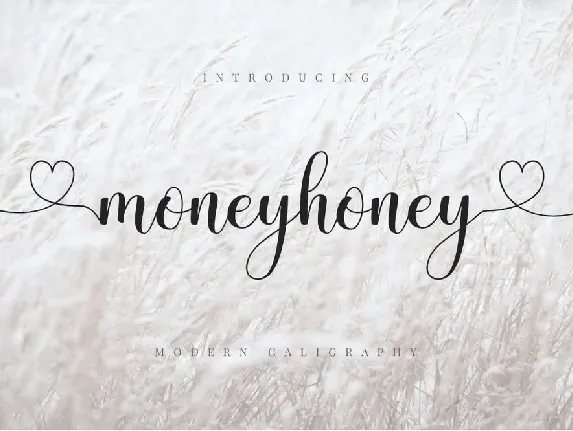 Moneyhoney font