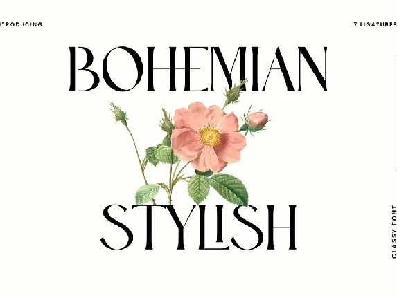 BohemianStylish font