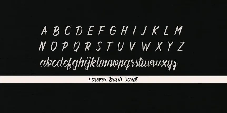 Forever Brush Script font