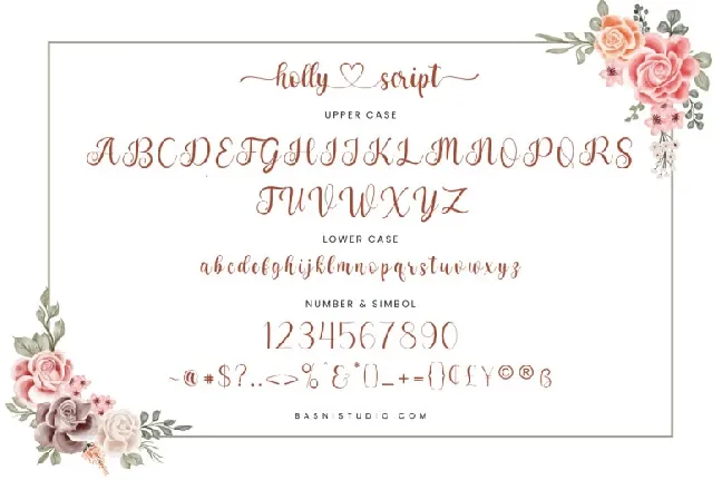 Holly Script font