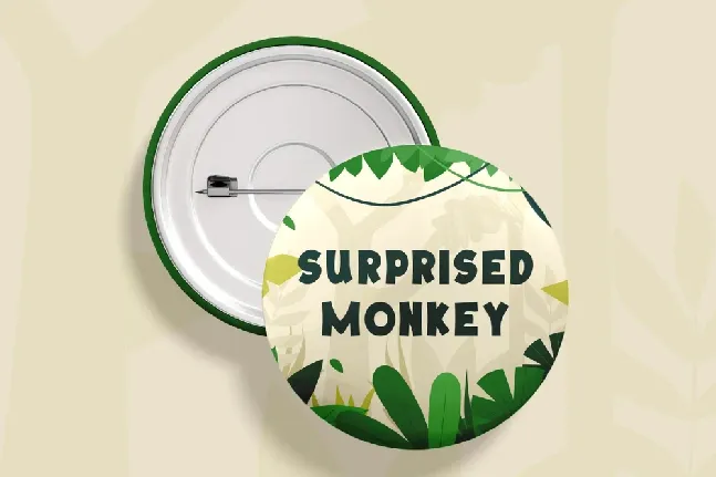 Surprisedmonkey font