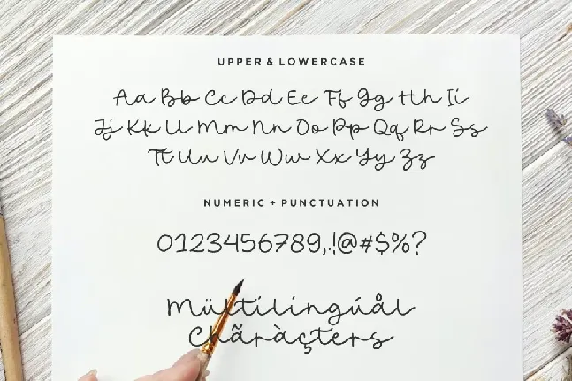 Austine Boutique font