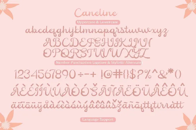 Caneline font