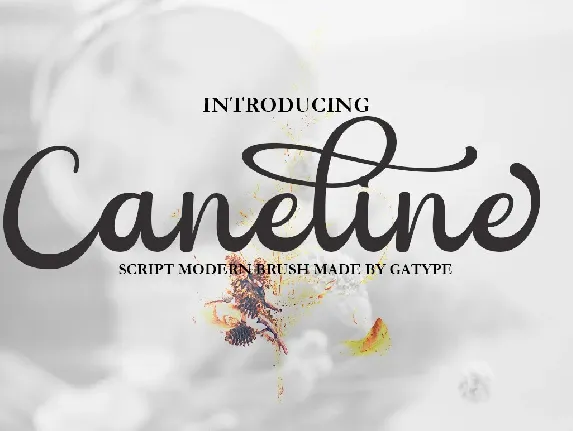 Caneline font