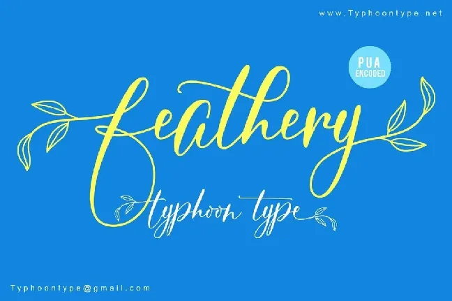 Feathery Script font