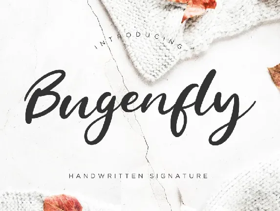 Bugenfly font