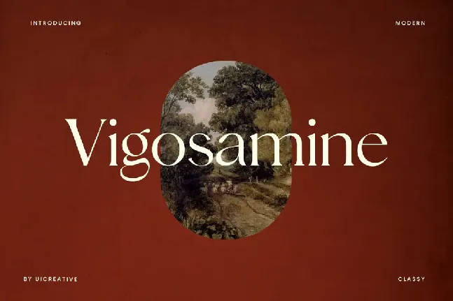 Vigosamine font