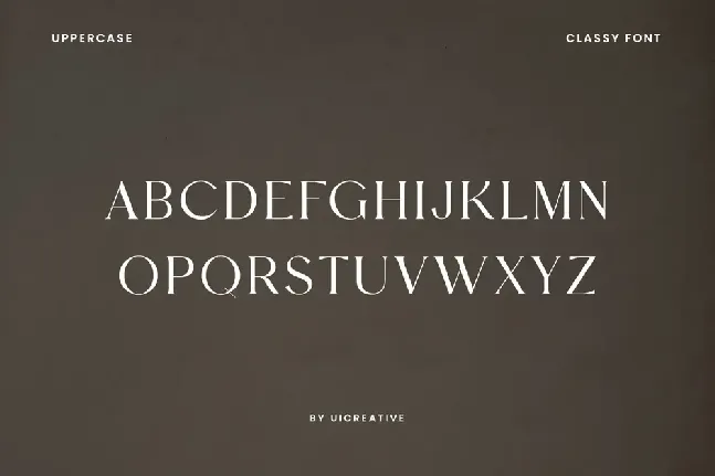 Vigosamine font