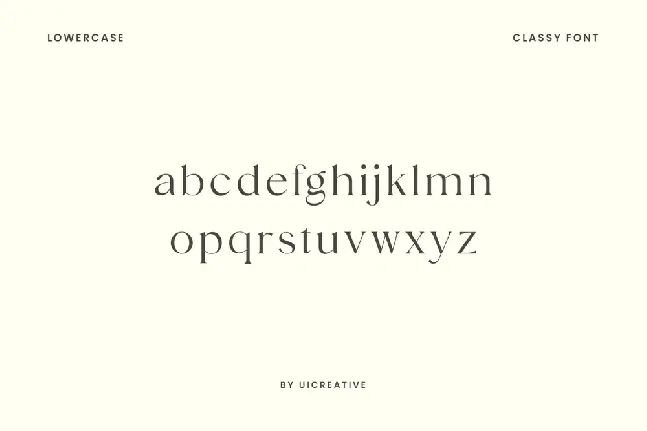 Vigosamine font