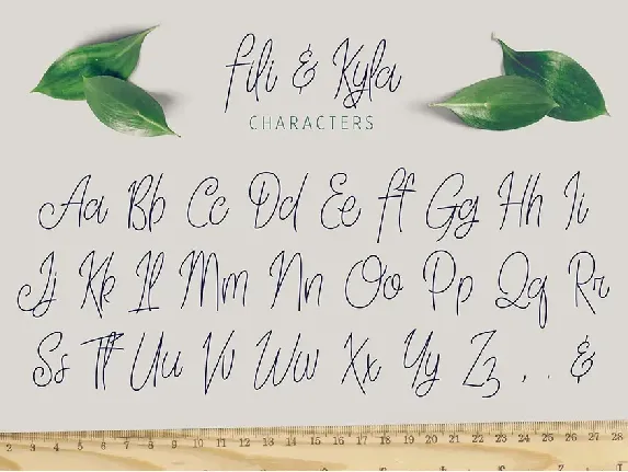 Fili & Kyla Script font