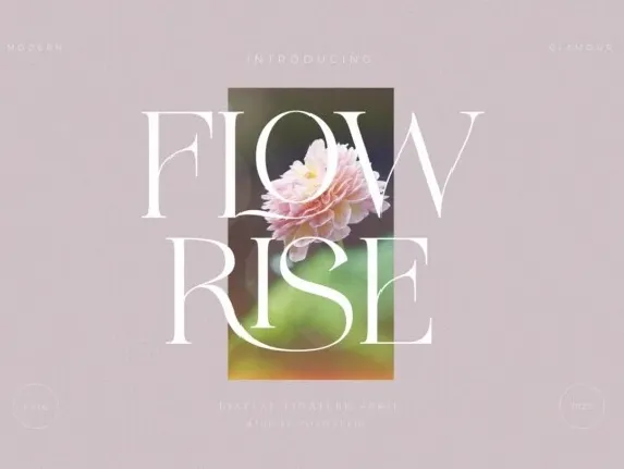 Flowrise font