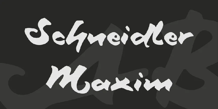 Schneidler Maxim font