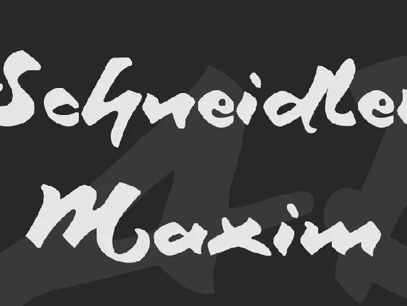 Schneidler Maxim font