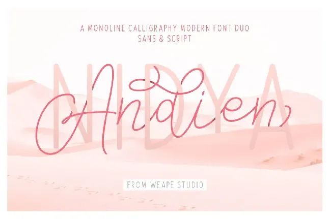 Andien Nidya Demo font