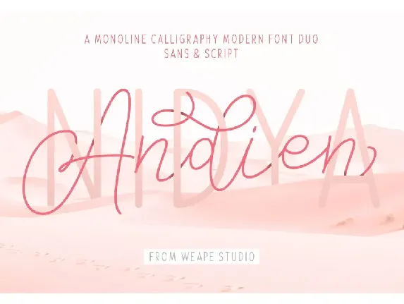 Andien Nidya Demo font