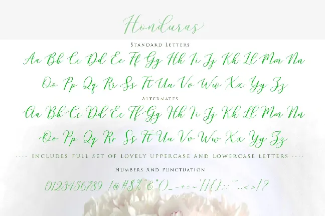 Honduras Script font