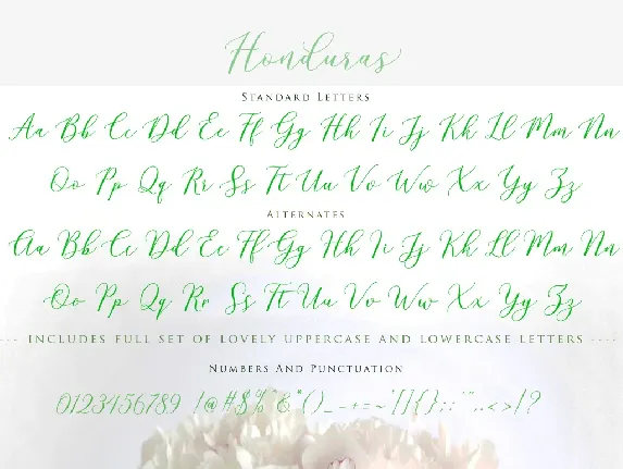 Honduras Script font