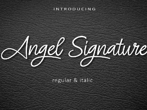 Angel Signature font