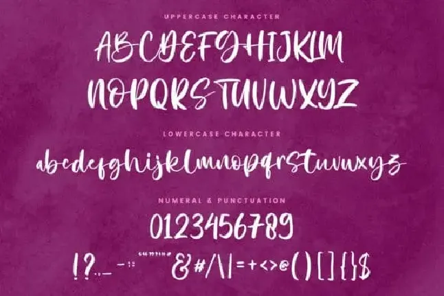 Natusha Bayor Script font