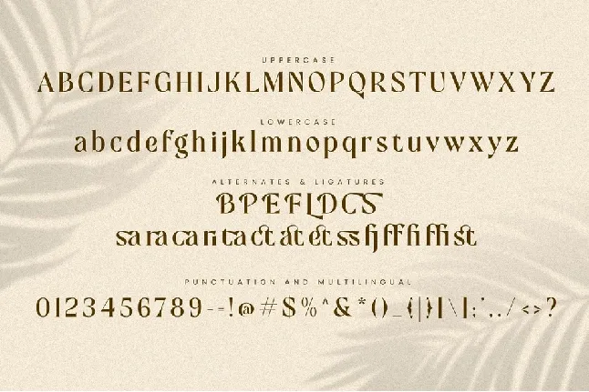 Mofista font