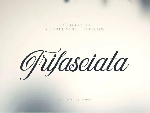 Trifasciata font