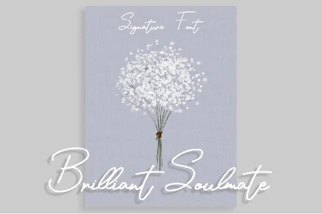 Brilliant Soulmate font