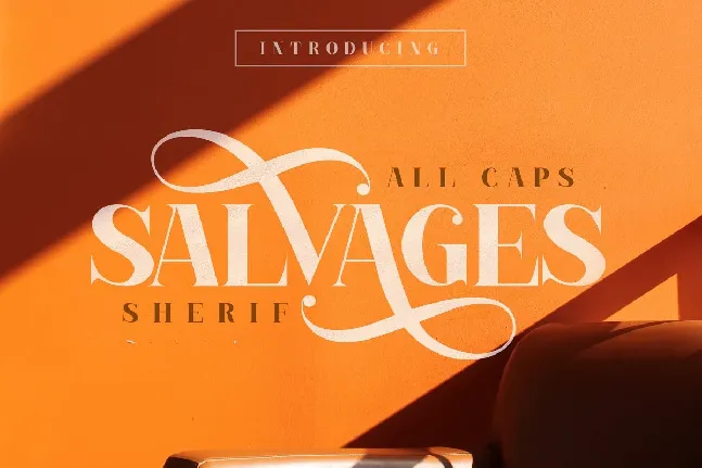 Salvages font