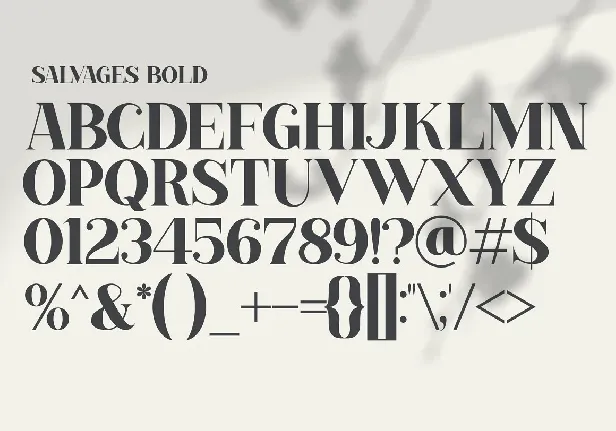 Salvages font