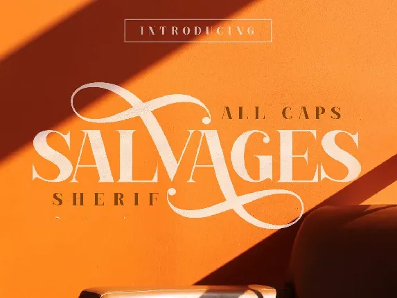 Salvages font